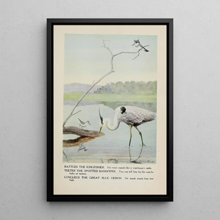Louis Agassiz Fuertes - Rattles the Kingfisher Teeter the Spotted Sandpiper Longlegs the Great Blue Heron.webp
