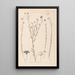 Herbier de la flore française Pl0019 - Louis Antoine Cusin — framed artwork on a wall