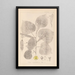 Herbier de la flore française Pl0025 - Louis Antoine Cusin | Reproduction — ingelijst kunstwerk aan de muur