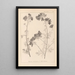 Herbier de la flore française Pl0036 - Louis Antoine Cusin — ingelijst kunstwerk aan de muur