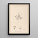 Herbier de la flore française Pl0038 - Louis Antoine Cusin — ingelijst kunstwerk aan de muur