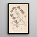 Herbier de la flore française Pl0042 - Louis Antoine Cusin — ingelijst kunstwerk aan de muur