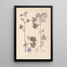 Herbier de la flore française Pl0046 - Louis Antoine Cusin — ingelijst kunstwerk aan de muur