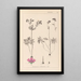 Herbier de la flore française Pl0057 - Louis Antoine Cusin — ingelijst kunstwerk aan de muur