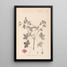 Herbier de la flore française Pl0061 - Louis Antoine Cusin — ingelijst kunstwerk aan de muur