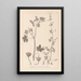 Herbier de la flore française Pl0075 - Louis Antoine Cusin — ingelijst kunstwerk aan de muur