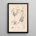 Herbier de la flore française Pl0085 - Louis Antoine Cusin — ingelijst kunstwerk aan de muur