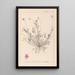 Herbier de la flore française Pl0091 - Louis Antoine Cusin — ingelijst kunstwerk aan de muur