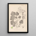 Herbier de la flore française Pl0120 - Louis Antoine Cusin — ingelijst kunstwerk aan de muur