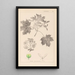 Herbier de la flore française Pl0123 - Louis Antoine Cusin — ingelijst kunstwerk aan de muur