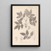 Herbier de la flore française Pl0143 - Louis Antoine Cusin — ingelijst kunstwerk aan de muur