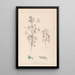 Herbier de la flore française Pl0207 - Louis Antoine Cusin — ingelijst kunstwerk aan de muur