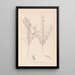 Herbier de la flore française Pl0208 - Louis Antoine Cusin — ingelijst kunstwerk aan de muur