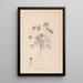 Herbier de la flore française Pl0240 - Louis Antoine Cusin — ingelijst kunstwerk aan de muur