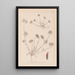Herbier de la flore française Pl0241 - Louis Antoine Cusin — ingelijst kunstwerk aan de muur