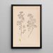Herbier de la flore française Pl0245 - Louis Antoine Cusin — ingelijst kunstwerk aan de muur