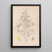 Herbier de la flore française Pl0307 - Louis Antoine Cusin — ingelijst kunstwerk aan de muur