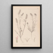 Herbier de la flore française Pl0315 - Louis Antoine Cusin — ingelijst kunstwerk aan de muur