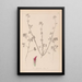 Herbier de la flore française Pl0321 - Louis Antoine Cusin — ingelijst kunstwerk aan de muur