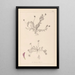 Herbier de la flore française Pl0399 - Louis Antoine Cusin — ingelijst kunstwerk aan de muur