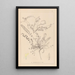 Herbier de la flore française Pl0418 - Louis Antoine Cusin — ingelijst kunstwerk aan de muur