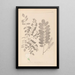 Herbier de la flore française Pl0437 - Louis Antoine Cusin — ingelijst kunstwerk aan de muur