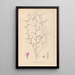 Herbier de la flore française Pl0453 - Louis Antoine Cusin — ingelijst kunstwerk aan de muur