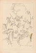 Herbier de la flore française Pl0455 - Louis Antoine Cusin — weergave van het kunstwerk