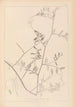 Herbier de la flore française Pl0466 - Louis Antoine Cusin — weergave van het kunstwerk