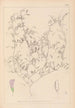Herbier de la flore française Pl0484 - Louis Antoine Cusin — weergave van het kunstwerk