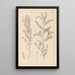 Herbier de la flore française Pl0487 - Louis Antoine Cusin — ingelijst kunstwerk aan de muur