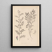 Herbier de la flore française Pl0490 - Louis Antoine Cusin — ingelijst kunstwerk aan de muur
