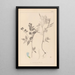 Herbier de la flore française Pl0511 - Louis Antoine Cusin — ingelijst kunstwerk aan de muur
