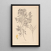 Herbier de la flore française Pl0513 - Louis Antoine Cusin — ingelijst kunstwerk aan de muur