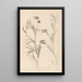Herbier de la flore française Pl0516 - Louis Antoine Cusin — ingelijst kunstwerk aan de muur