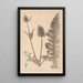 Herbier de la flore française Pl0710 - Louis Antoine Cusin — ingelijst kunstwerk aan de muur