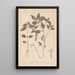 Herbier de la flore française Pl0841 - Louis Antoine Cusin — ingelijst kunstwerk aan de muur