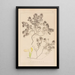 Herbier de la flore française Pl0912 - Louis Antoine Cusin — ingelijst kunstwerk aan de muur