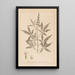 Herbier de la flore française Pl0918 - Louis Antoine Cusin — ingelijst kunstwerk aan de muur