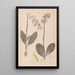 Herbier de la flore française Pl1006 - Louis Antoine Cusin — ingelijst kunstwerk aan de muur