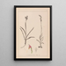 Herbier de la flore française Pl1012 - Louis Antoine Cusin — ingelijst kunstwerk aan de muur