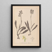 Herbier de la flore française Pl1033 - Louis Antoine Cusin — ingelijst kunstwerk aan de muur