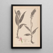 Herbier de la flore française Pl1044 - Louis Antoine Cusin — ingelijst kunstwerk aan de muur