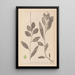 Herbier de la flore française Pl1075 - Louis Antoine Cusin — ingelijst kunstwerk aan de muur