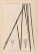 Herbier de la flore française Pl1113 - Louis Antoine Cusin — weergave van het kunstwerk