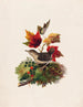 Vogel met herfstbladeren - Louis Prang — weergave van het kunstwerk