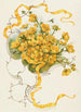 Boterbloemen - Louis Prang — weergave van het kunstwerk