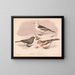 Sneeuwvogel - Louis Prang Co — ingelijst kunstwerk aan de muur