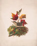 Een vogel met herfstbladeren - Louis Prang Co — weergave van het kunstwerk