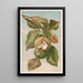 Châtaignier Castanea vulgaris var. Americana - Louis Prang Co — ingelijst kunstwerk aan de muur